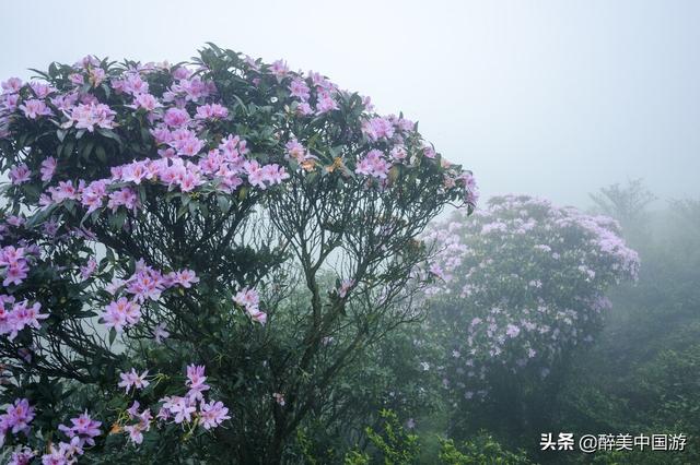 五一旅游最佳去处，五一去的旅游景点推荐（这些景点让你享受轻松愉快的假期时光）