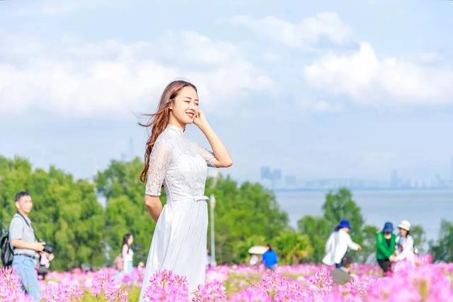 深圳旅游攻略景点推荐，深圳十条旅游路线（不完整的旅游景点和美食选择）