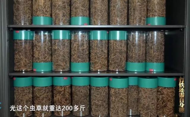 糖尿病高血压虫草(糖尿病高血压应该吃什么食物?)