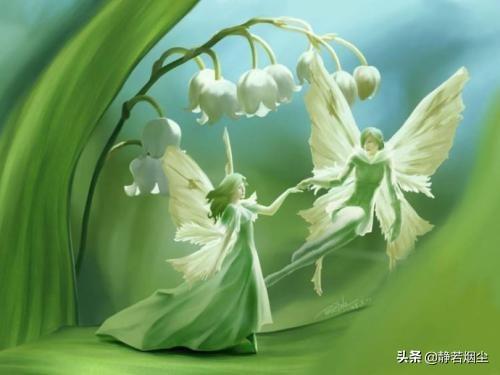 30种简单花草，几种优雅的的花草