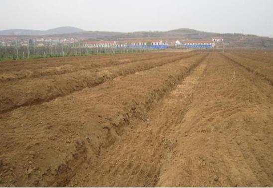 花生怎么种植方法，花生种植的最佳方法（关于花生的种植方法）