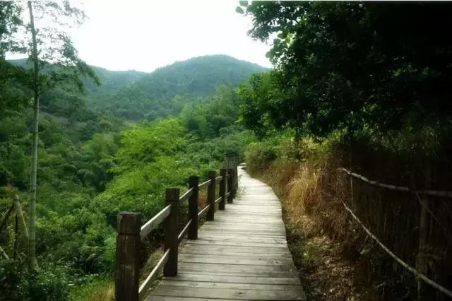 宁波有几个古道可以爬山的，宁波这11条登山健身步道你走过吗
