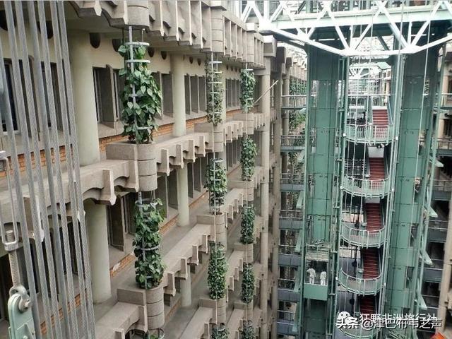 津巴布韦总统现状，津巴布韦总统埃默森·姆南加古瓦在“杂交水稻援外与世界粮食安全”国际论坛上的致辞