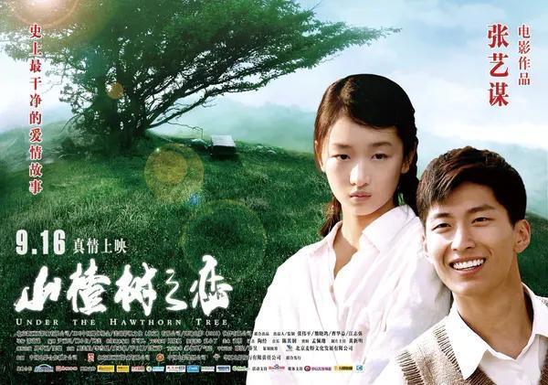 张艺谋电影作品，张艺谋最巅峰之作