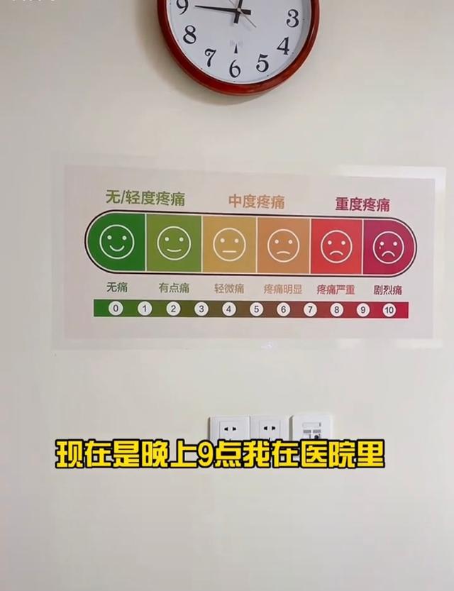 孤单又肥胖(孤单寂寞又胖胖)