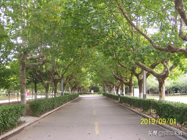 连云港新浦公园，连云港新浦公园在什么位置