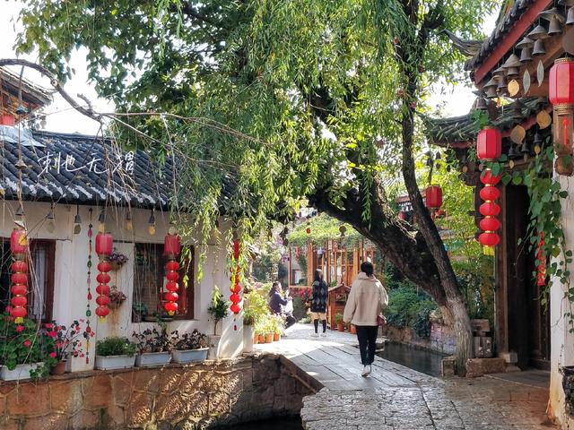 冬天去丽江旅游需要带什么，我为什么推荐你冬天来丽江