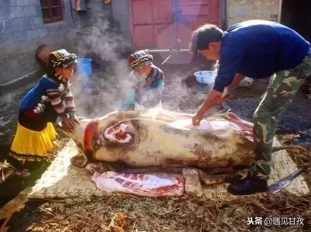彝族过春节有什么习俗，这些风俗你知道吗