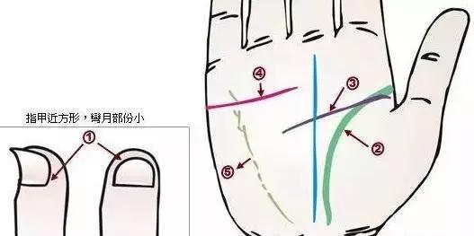 面诊图解大全清晰图，手诊面诊全息图解（你也能当半个医生）