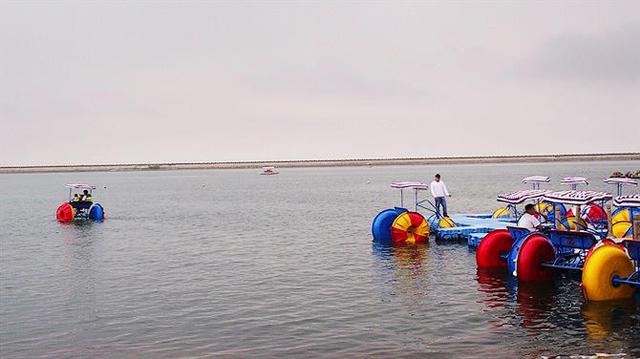 金山免费沙滩地点，周末清凉一“夏”奉贤碧海金沙和金山城市沙滩游玩攻略来啦