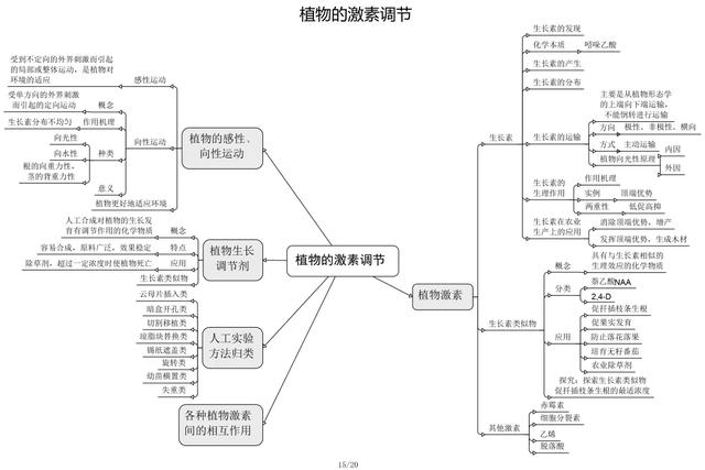 生物选修一思维导图，高中生物必修一思维导图 最新收藏