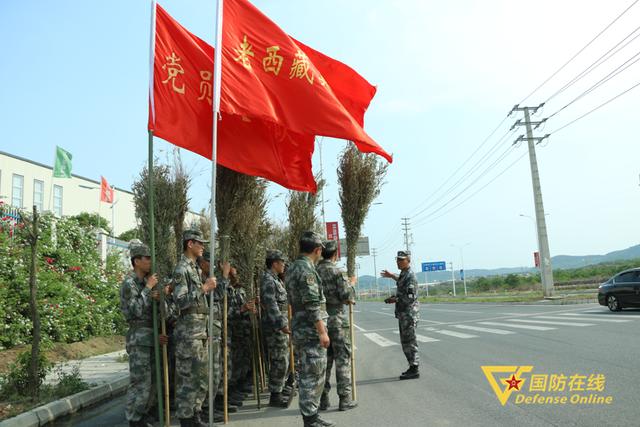 兵哥早安表情包，一组超萌兵哥哥表情包来袭