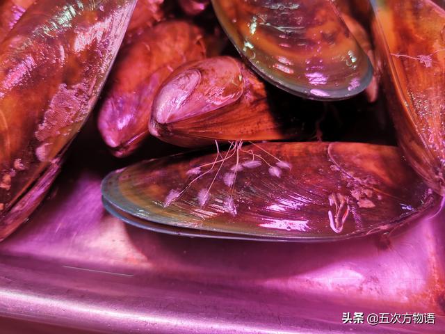 海鲜贝类图鉴，青岛常见食用贝类图鉴大全