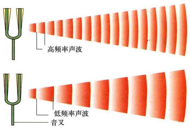 自然界的随机现象，一个随机但可预测的新量子现象