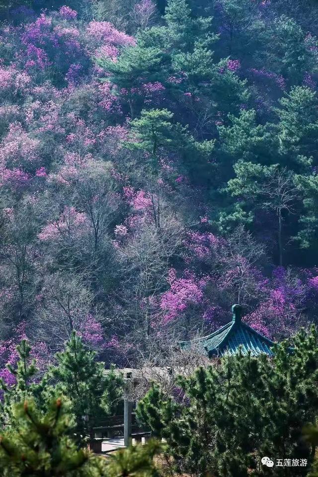 贵州六个小众山，徒步登山爱好者的天堂