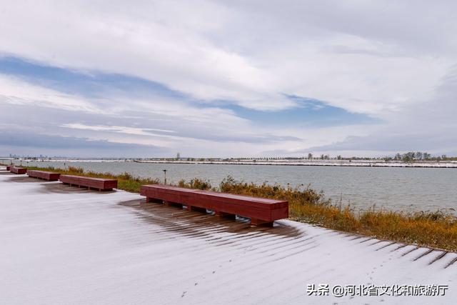 石家庄下雪了吗，河北省石家庄近期下雪时期（石家庄迎来今年首场降雪）