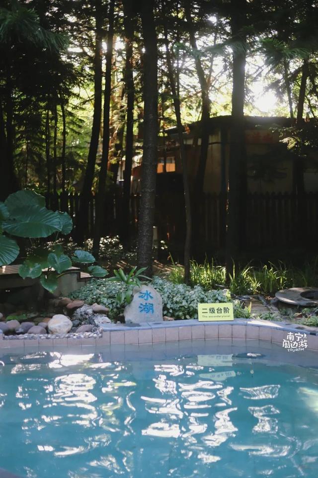 南宁附近花海景点推荐，南宁这几处花海，美了