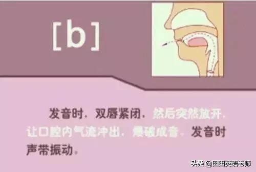 英语音标怎么学，初学英语者必看如何学习国际音标（资深老教师说：音标就该这样学）