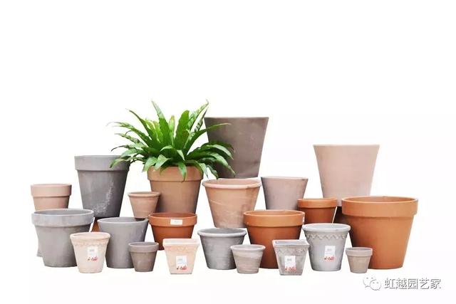 园艺批发市场，这个园艺市场本周末放大招