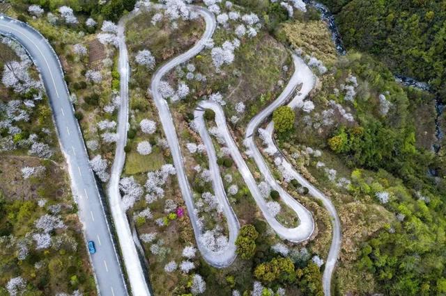 头文字d经典台词，头文字d经典语录（是否能唤起你那时童年的记忆呢）