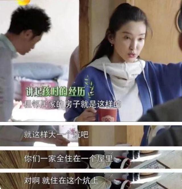 李冰冰个人资料简历，李冰冰个人简历表（那个甜蜜承诺能兑现吗）