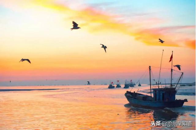 沧州有什么可以游玩的景点，沧州最新最全旅游攻略