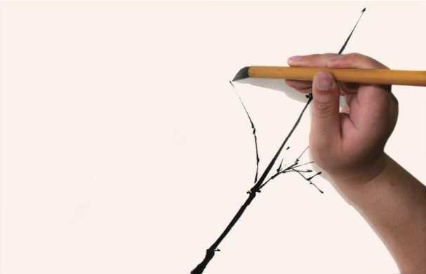 国画竹子的竹枝怎么画，国画竹竿竹枝画法
