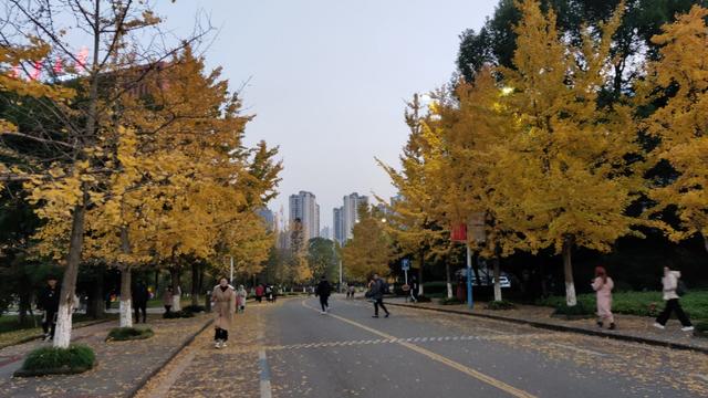 重庆大学虎溪校区，重庆大学虎溪校区全貌