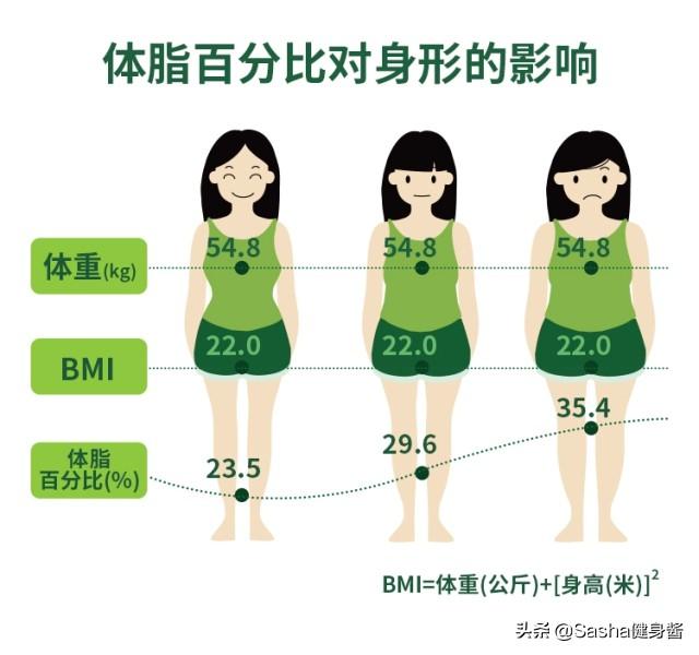 减肥燃脂15天计划表，高效减肥瘦身计划表，必备减肥