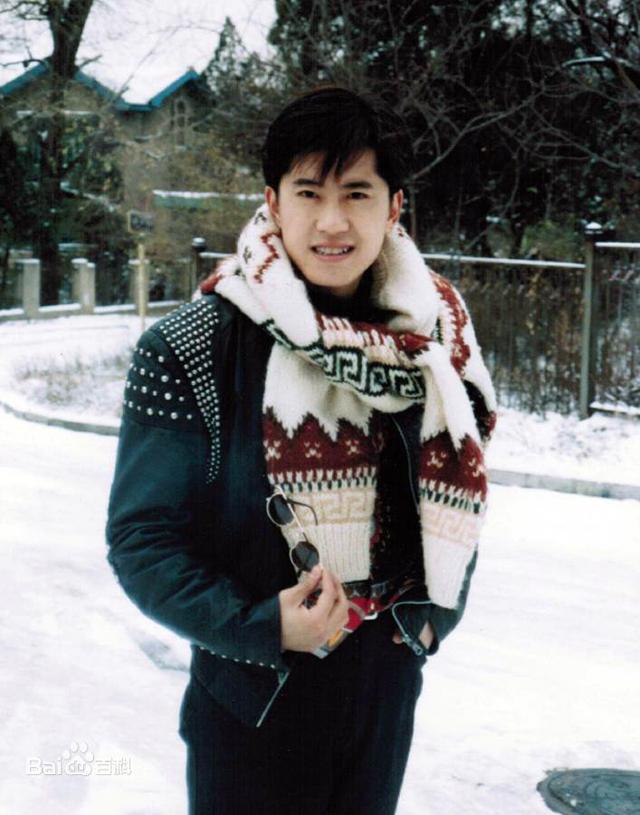 毛宁蔡国庆解晓东姜涛，90年代十大帅气男歌星今昔照