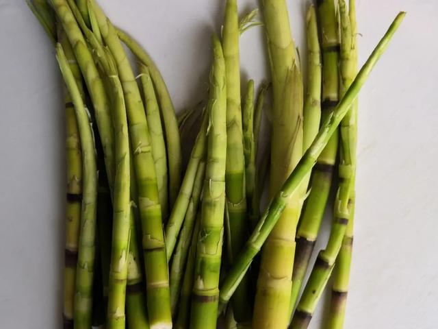 农村100种野菜图片，农村100种常见野菜（让你轻松认识各种野菜和吃法）