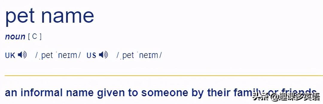 pet宠物怎么读中文，当老外说petname