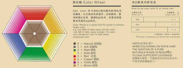基础染发颜色推荐，色板的正确打开方式