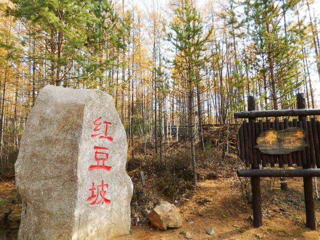 内蒙古旅游景点，内蒙有什么好玩的旅游景点