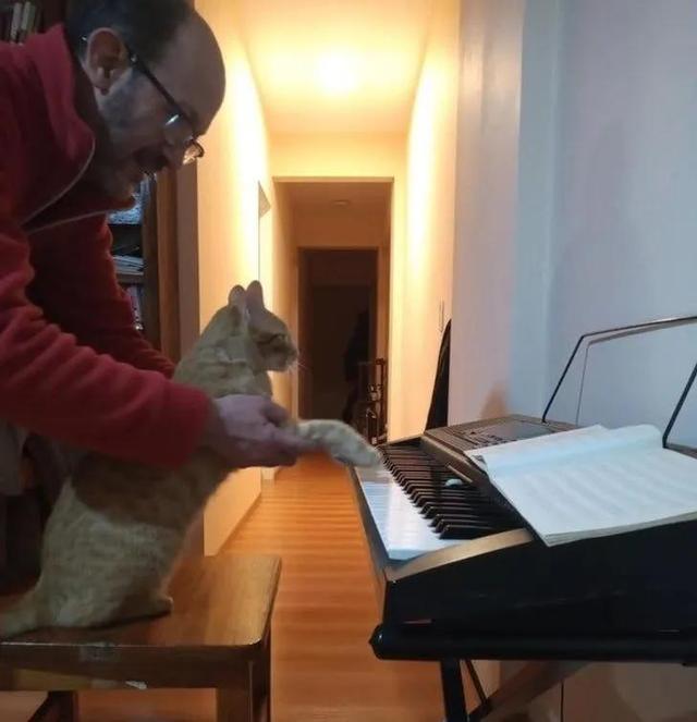 并不是所有人都适合养猫咪，有一部分人根本不适合养喵