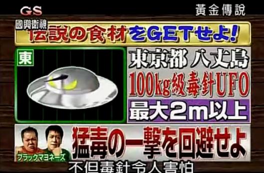 日本综艺推荐排行榜，豆瓣8.7堪称综艺鼻祖