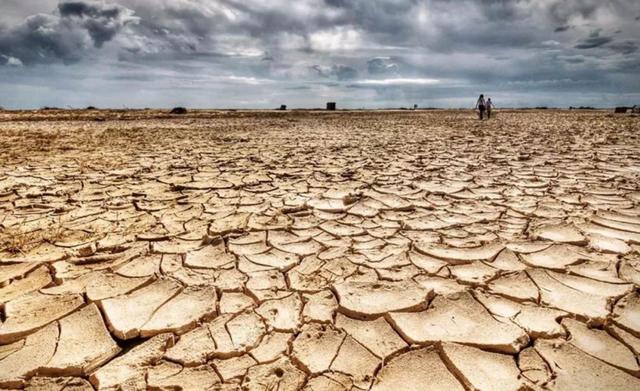 第六次生物大灭绝，地球正进入第六次生物大灭绝（5次生物大灭绝地球经历了什么）