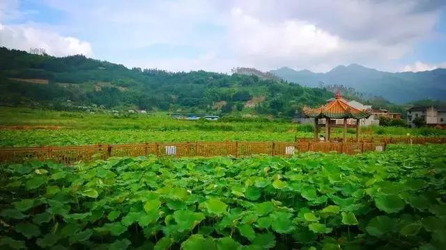 宁德旅游必去十大景点推荐，经典必游的六个美景