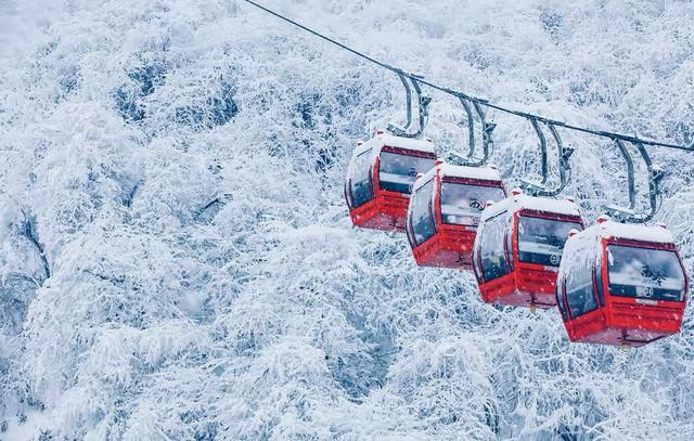 西岭雪山游玩攻略，西岭雪山旅游攻略完整版（成都周边的“小西岭雪山”）