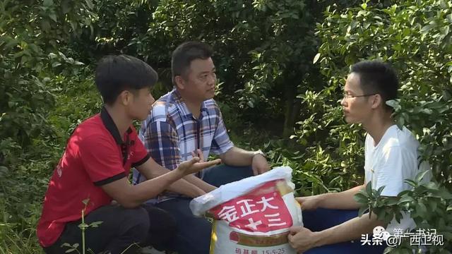 高精度卫星地图，卫星地图高清分辨率（城市高精地图应用开启）