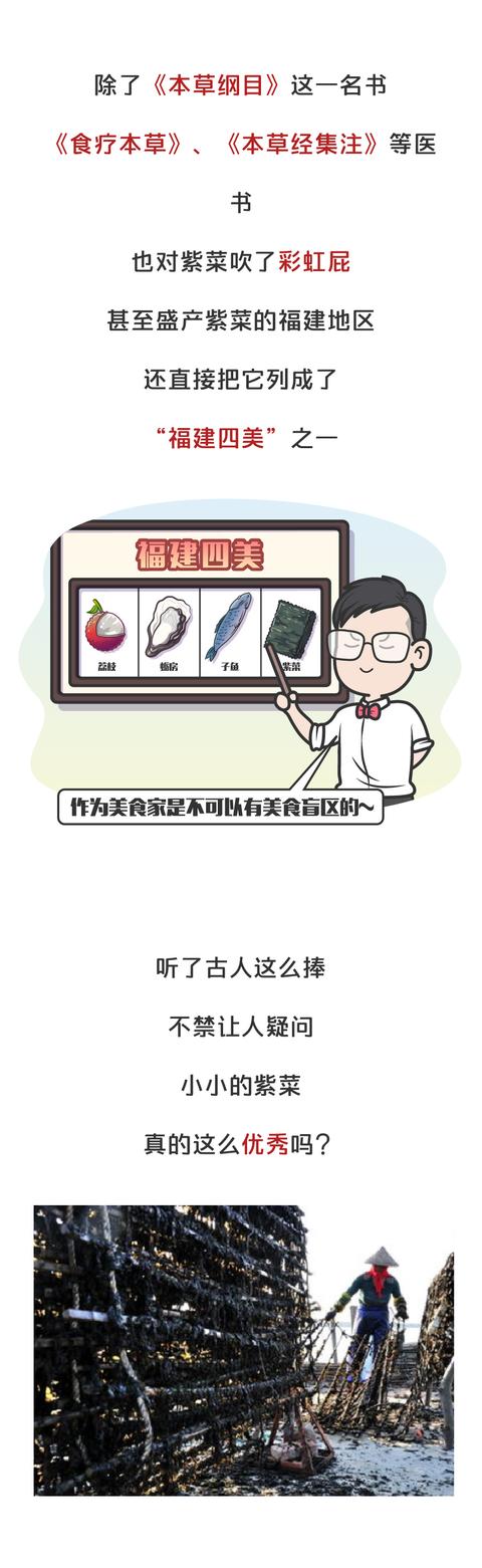 海苔是用什么做的，海苔主要是用什么制作的（海苔、紫菜是同一种食物）