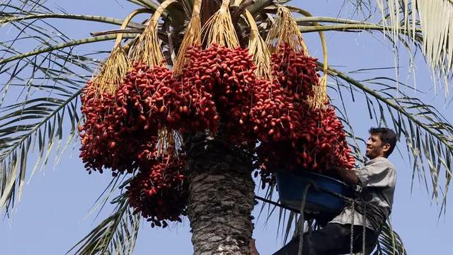 斋月节在哪一天，注意事项\u0026放假时间汇总