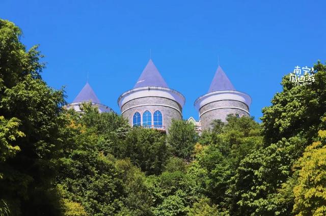 南宁附近花海景点推荐，南宁这几处花海，美了