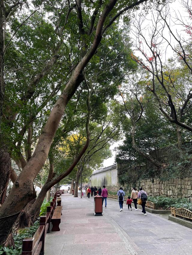 上海到乌镇一日游，从上海出发去杭州苏州乌镇3日游（西塘旅游行程怎样安排最舒服）