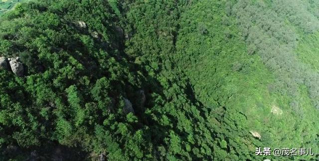 化州在哪里呀，你好化州