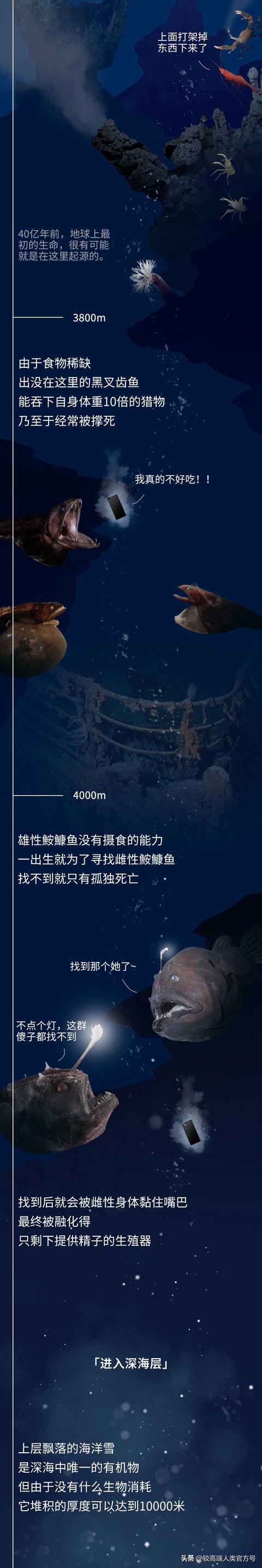 深海探秘16种奇特生物你见过几种，潜入海底一万米