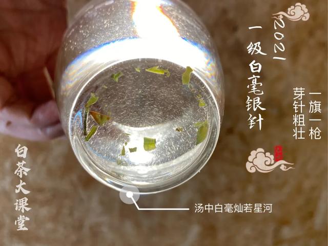 白茶和绿茶有什么区别，白茶和绿茶有什么不同（白茶和黑茶有什么区别）