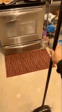 哈利波特为什么要骑着扫把，全世界都在立扫把