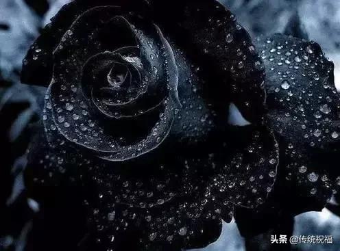 今年情人节流行送什么明日七夕情人节，999999玫瑰花送给群里所有朋友！谁打开
