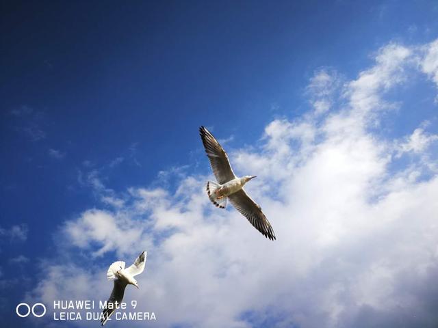 云南人的永久记忆，云南人为何愿做